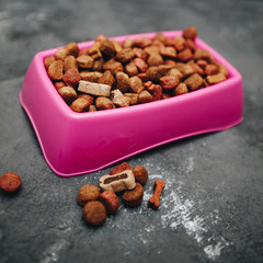 Dry pet food in bowl