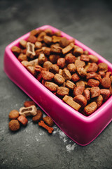 Dry pet food in bowl