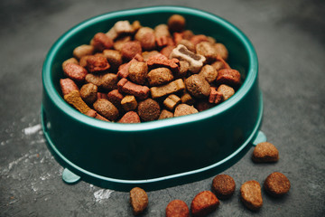 Dry pet food in bowl