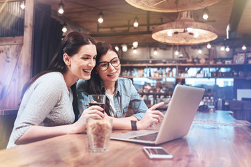 Female friends. Happy joyful nice women looking at the laptop screen and laughing while having fun together