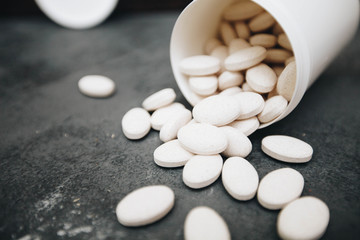 Dry pet food in bowl