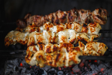 hot  gourmet barbecue, shashlik, kebab, skewer on the grill