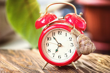 Retro alarm clock and a slow snail on it. Time does not wait concept. Time management concept. Land snail on an old desktop watch. Red alarm clock shows seven o clock, 6:55 o'clock 7 am 7 pm. © bozhena_melnyk
