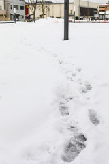 footprint on the snow field