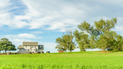 Amish country farm barn field agriculture in Lancaster, PA