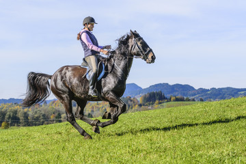 Workout für Pferd und Reiterin