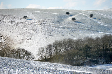 Snow on South Downs
