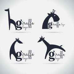 giraffe logo vector on white background © ploygraphic