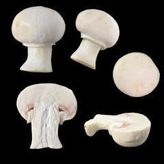 White mushrooms at different angles and the cuts on black background