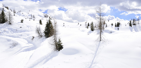 Fototapeta na wymiar the peaks of the Alps in winter with soft snow