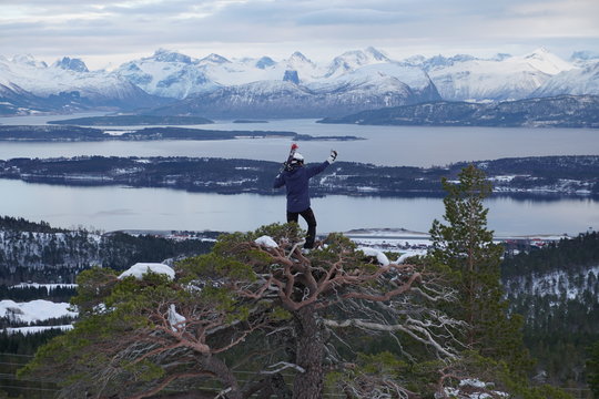person standin on treetop looking at vinter landscape 