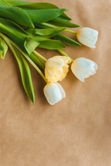 top view of beautiful tender tulip flowers with green leaves on craft paper