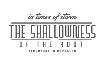 In times of storm, the shallowness of the root structure is revealed. 