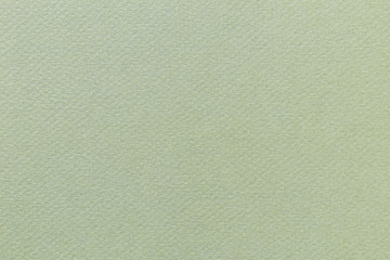Green Paper Background with Texture; laurel green 