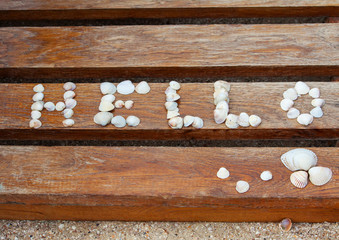 Seashells on a wooden background on the beach of the Sea of Azov