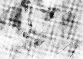 Fotobehang Subtle halftone vector texture overlay. Monochrome abstract splattered background. © aerial333