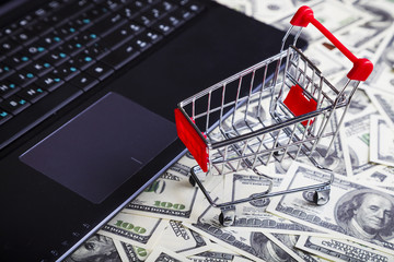 Shopping trolley, laptop and dollars