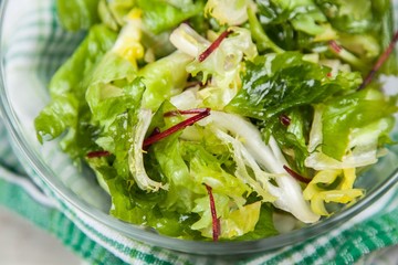 Fresh green salad