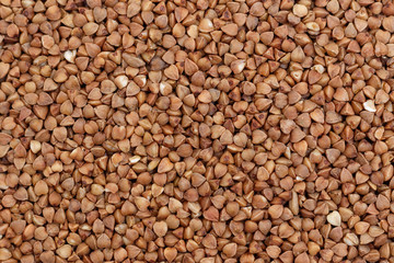 fresh buckwheat. dry buckwheat background or texture