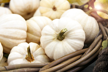 white pumpkins