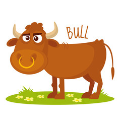 Bull Vector illustration isolated