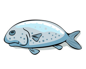 Fish,graphic design,fish cartoon, fish image,fish vector,fish art,fish design,fish market,saltwater fish,freshwater fish,types of fish,fish icon, raw fish, fisheries