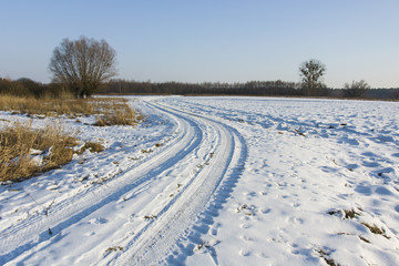 Fototapeta na wymiar Winding snow-covered road in field and a tree