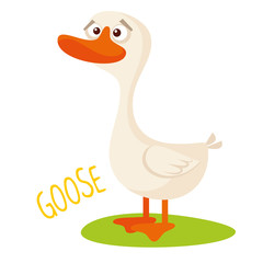Goose Vector illustration isolated