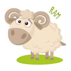 Ram Vector illustration isolated