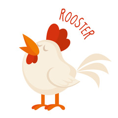 Rooster Vector illustration isolated