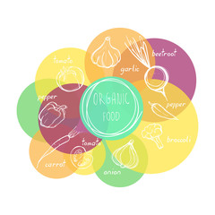Organic healthy fruits and vegetables conceptual doodles illustration for your design