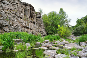 Green trees in a canyon against a cloudy sky background