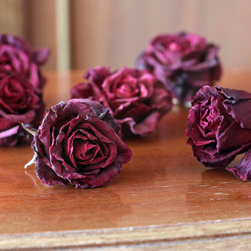 Withered roses on a wooden table. Flowers
