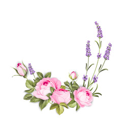 Fototapeta na wymiar Spring flowers bouquet of color bud garland. Label of lavender with rose flowers. Vector illustration.
