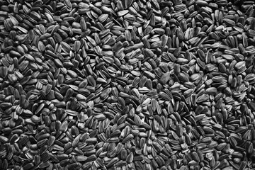 Black sunflower seeds.