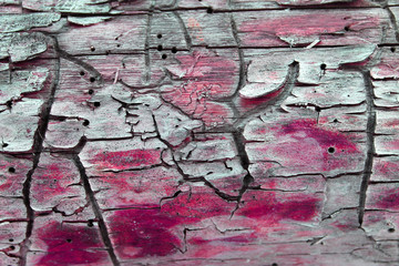 background of wooden plank texture wall with selected tone color. Abstract background of an old...