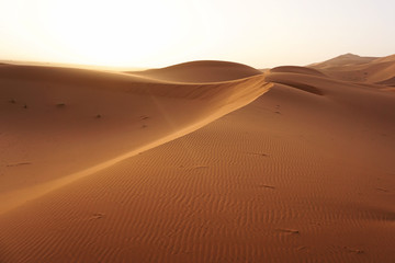 Fototapeta na wymiar A sand dune of Sahara desert, Morocco