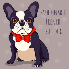 fashionable cute French bulldog with a black and white color of wool in red bow tie. Cartoon character. Vector illustration.