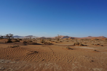 Fototapeta na wymiar Landscape of Desert