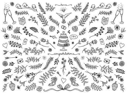 Hand sketched floral design elements for wedding cards, flowers and leaves for text decoration

