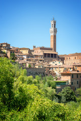 Obraz premium Cityscape of Siena, aerial view with the Torre del Mangia, Tuscany, Italy