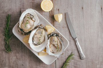 Fototapeta na wymiar Opened oysters, lemon on gray stone table. Half dozen. With copy space