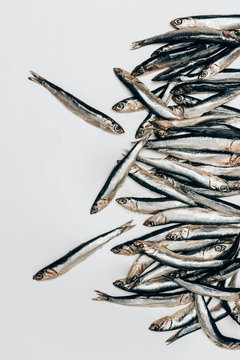 Top view of pile of fish isolated on white