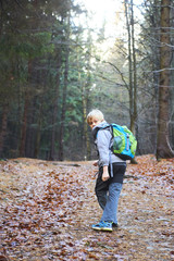 Obraz premium Child boy walking on a forest path. Back view