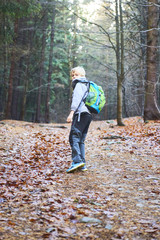 Fototapeta premium Child boy walking on a forest path. Back view