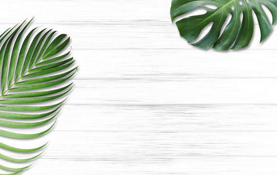 Fototapeta Monstera deliciosa and yellow palm tropical leaves isolated on white wood background with copy space