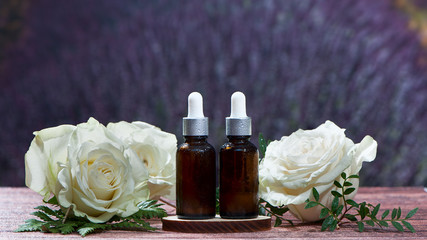 Oil, whey, cream with roses. Organic cosmetics. Roses  and jars on the background of a field of lavender. space for text