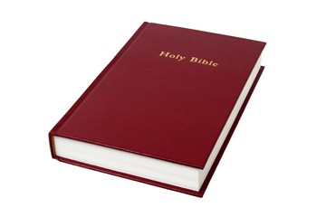 Holy Bible on white