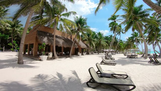 Saona island Dominican Republic. Beautiful island/Beautiful Island. Coconut Palm Trees On Sandy Beach At Sunny Summer Day 4K