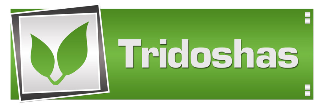 Tridoshas Green Grey Square Left 